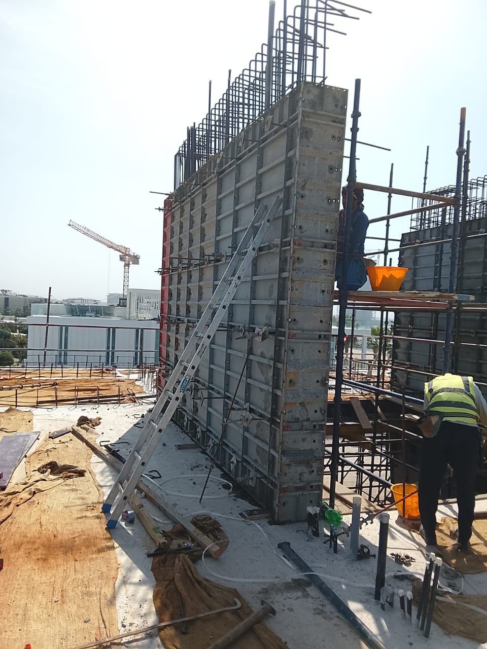 WhatsApp Image 2026-02-15 at 1.53.54 PM (2)