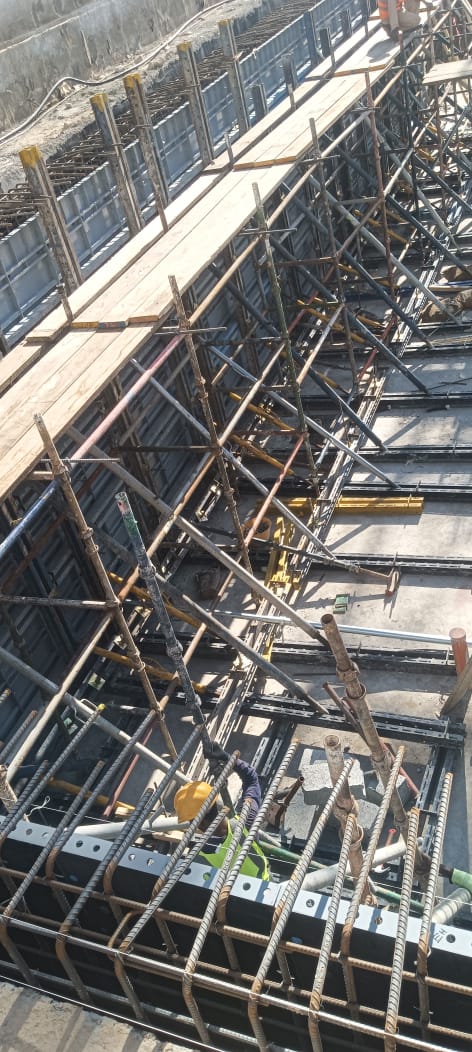 WhatsApp Image 2026-02-15 at 2.04.32 PM